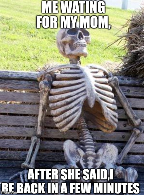 so literly true | ME WATING FOR MY MOM, AFTER SHE SAID,I BE BACK IN A FEW MINUTES | image tagged in memes,waiting skeleton | made w/ Imgflip meme maker