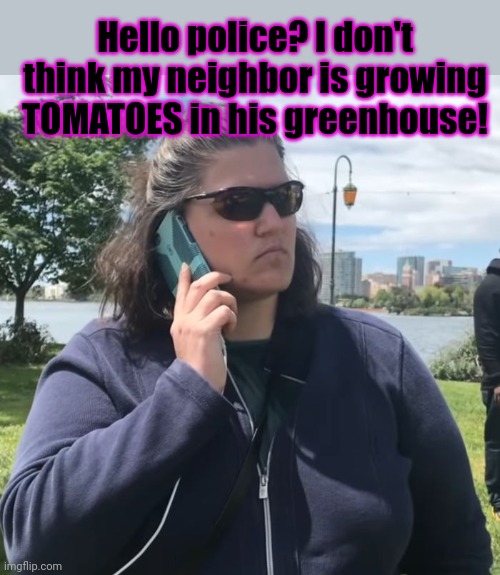 Woman calling police | Hello police? I don't think my neighbor is growing TOMATOES in his greenhouse! | image tagged in woman calling police | made w/ Imgflip meme maker