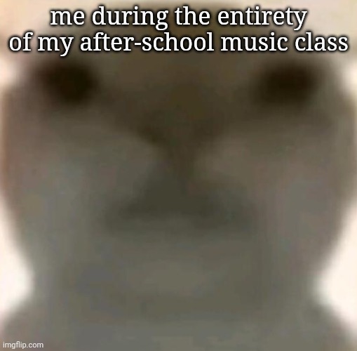 my honest reaction to A Minor on a guitar: | me during the entirety of my after-school music class | image tagged in brainless cat 2 0 | made w/ Imgflip meme maker