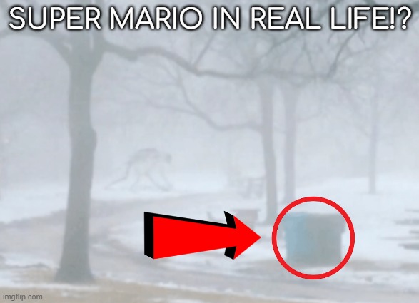 SUPER MARIO IRL | SUPER MARIO IN REAL LIFE!? | made w/ Imgflip meme maker