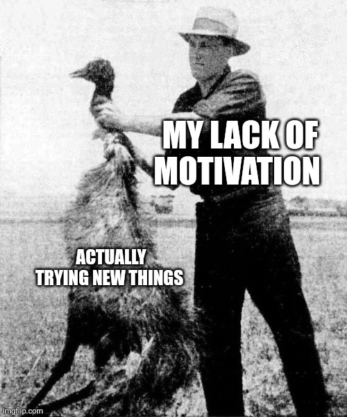 My lack of motivation | MY LACK OF MOTIVATION; ACTUALLY TRYING NEW THINGS | image tagged in great emu war | made w/ Imgflip meme maker