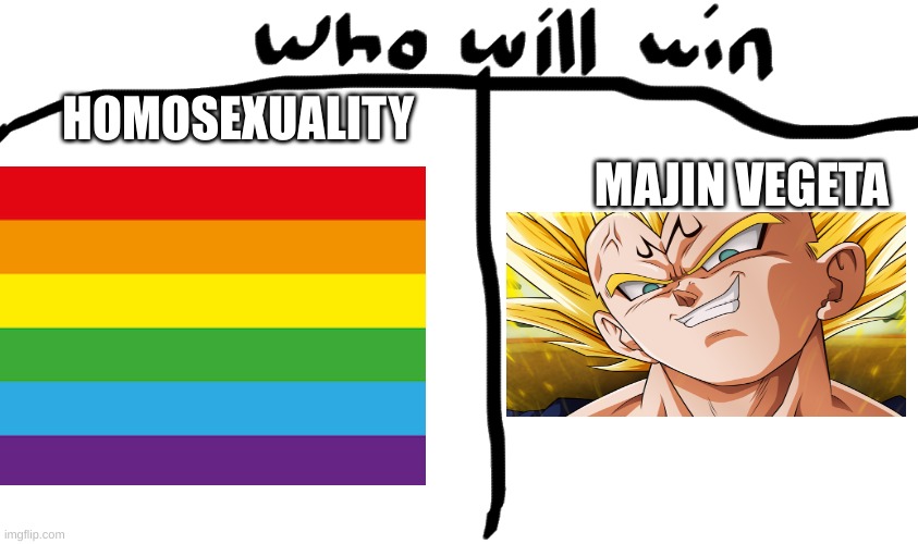 who will win | MAJIN VEGETA; HOMOSEXUALITY | image tagged in who will win | made w/ Imgflip meme maker