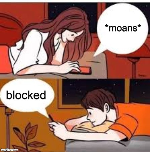 Blocked | *moans*; blocked | image tagged in blocked | made w/ Imgflip meme maker