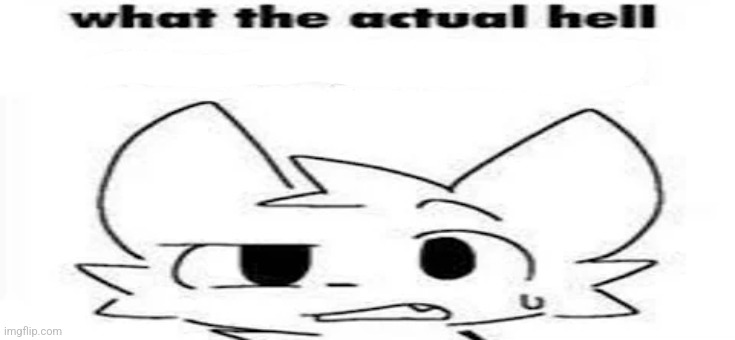 What the actual hell is wrong with you | image tagged in what the actual hell is wrong with you | made w/ Imgflip meme maker
