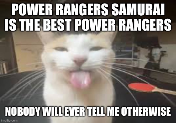 Cat | POWER RANGERS SAMURAI IS THE BEST POWER RANGERS; NOBODY WILL EVER TELL ME OTHERWISE | image tagged in cat | made w/ Imgflip meme maker