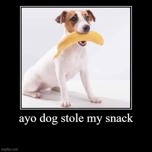 gimme | ayo dog stole my snack | | image tagged in funny,demotivationals,memes,funny memes | made w/ Imgflip demotivational maker