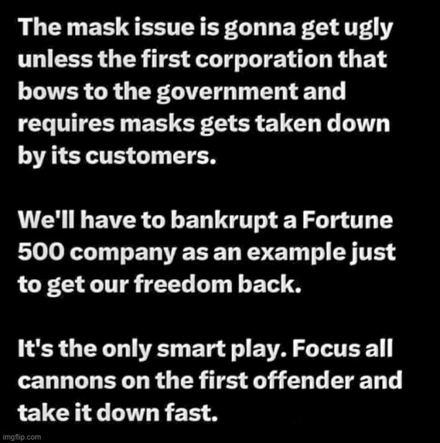Time to take down a Fortune 500 Company to set an example! | image tagged in fortune 500,mask mandates,freedom,tyranny,covidiots,useful idiots | made w/ Imgflip meme maker