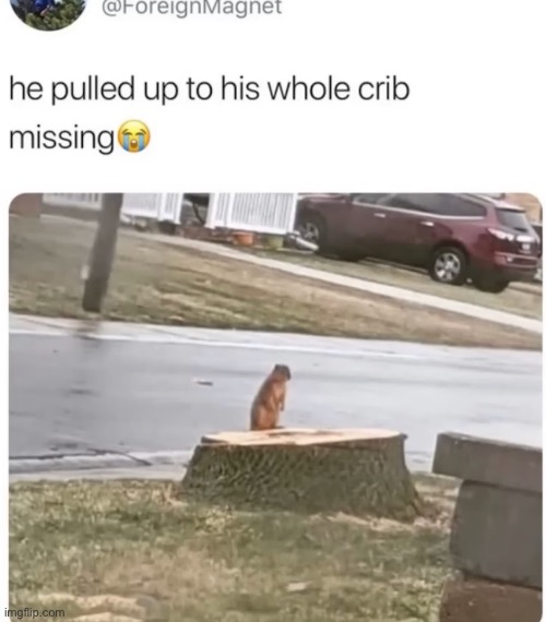Morning chat | made w/ Imgflip meme maker