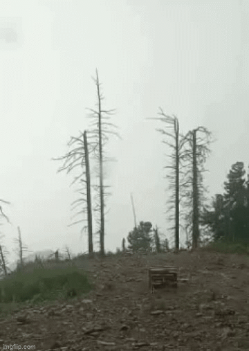 Lightning Striking Tree - Imgflip
