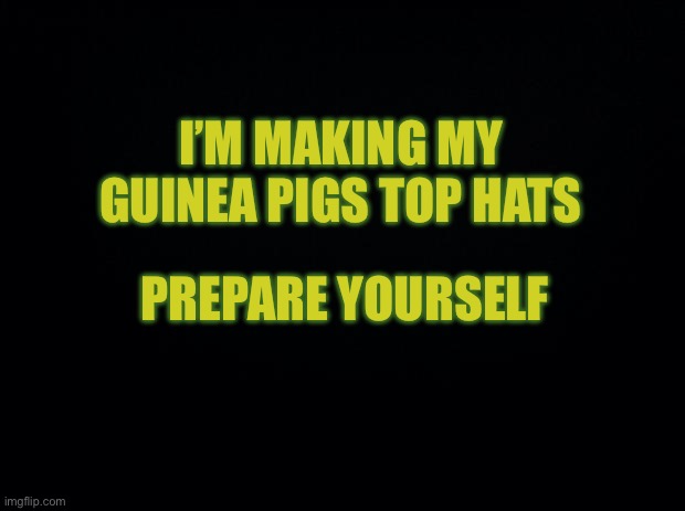 Black background | I’M MAKING MY GUINEA PIGS TOP HATS; PREPARE YOURSELF | image tagged in black background | made w/ Imgflip meme maker