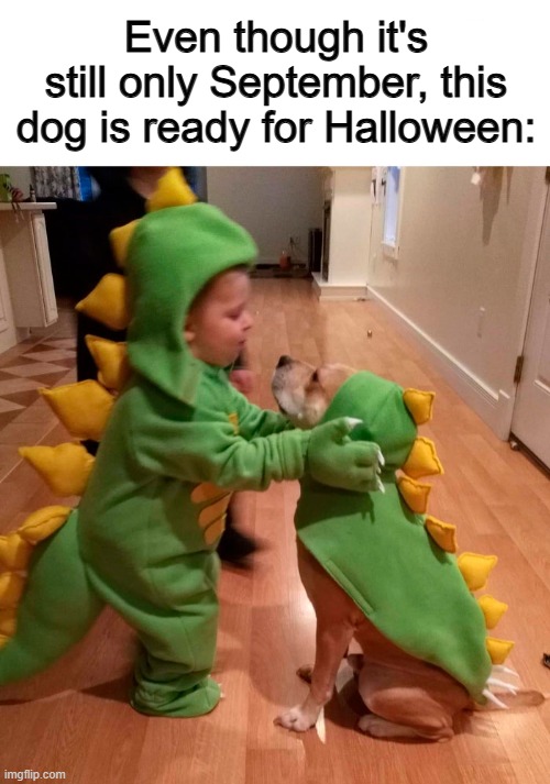 ... | Even though it's still only September, this dog is ready for Halloween: | made w/ Imgflip meme maker