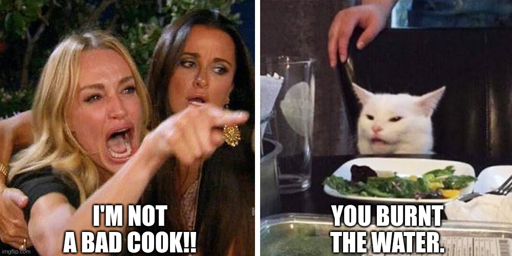 e | I'M NOT A BAD COOK!! YOU BURNT THE WATER. | image tagged in smudge the cat | made w/ Imgflip meme maker