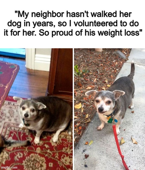 He seems sad tho... | "My neighbor hasn't walked her dog in years, so I volunteered to do it for her. So proud of his weight loss" | made w/ Imgflip meme maker