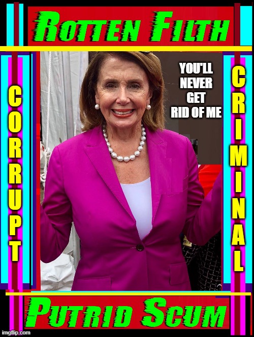 FUNNY: San Francisco elected this P.O.S. for 3 Decades | C
R
I
M
I
N
A
L; YOU'LL NEVER GET RID OF ME; C
O
R
R
U
P
T | image tagged in vince vance,nasty,nancy pelosi,memes,corrupt,corruption | made w/ Imgflip meme maker