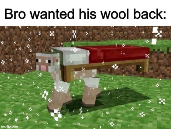 ... | Bro wanted his wool back: | made w/ Imgflip meme maker