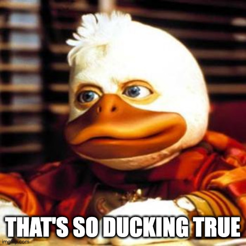 howard the duck | THAT'S SO DUCKING TRUE | image tagged in howard the duck | made w/ Imgflip meme maker