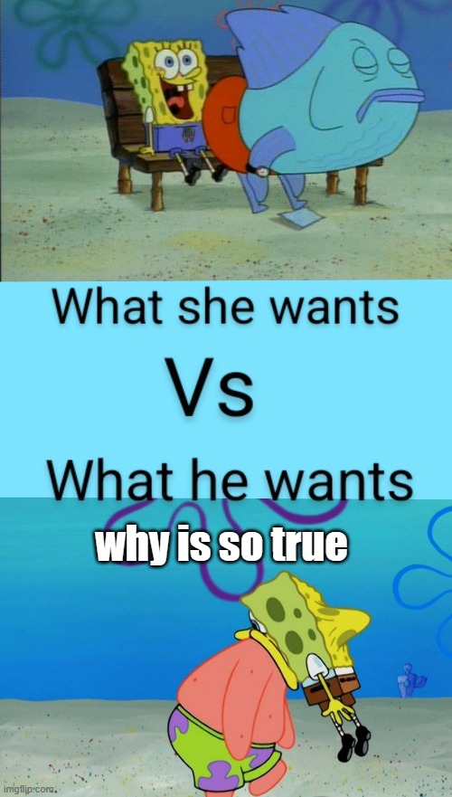 spongebob | why is so true | image tagged in fun,funny memes,memes,gifs,funny | made w/ Imgflip meme maker