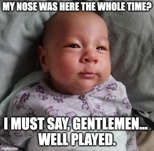 Chuffed kid | MY NOSE WAS HERE THE WHOLE TIME? I MUST SAY, GENTLEMEN... 
WELL PLAYED. | image tagged in chuffed kid | made w/ Imgflip meme maker