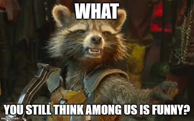 rocket racoon | WHAT; YOU STILL THINK AMONG US IS FUNNY? | image tagged in rocket racoon | made w/ Imgflip meme maker