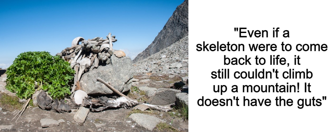 ... | "Even if a skeleton were to come back to life, it still couldn't climb up a mountain! It doesn't have the guts" | image tagged in blank white template | made w/ Imgflip meme maker