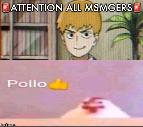 Reigen arataka | 🚨ATTENTION ALL MSMGERS🚨 | image tagged in reigen arataka | made w/ Imgflip meme maker