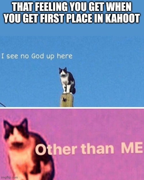 Hail pole cat | THAT FEELING YOU GET WHEN YOU GET FIRST PLACE IN KAHOOT | image tagged in hail pole cat | made w/ Imgflip meme maker