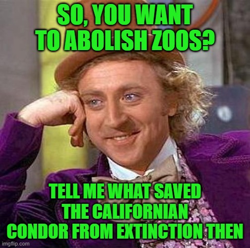 Anti-Zoo people didn't think this through | SO, YOU WANT TO ABOLISH ZOOS? TELL ME WHAT SAVED THE CALIFORNIAN CONDOR FROM EXTINCTION THEN | image tagged in memes,creepy condescending wonka,zoo,zoos,endangered species,extinction | made w/ Imgflip meme maker