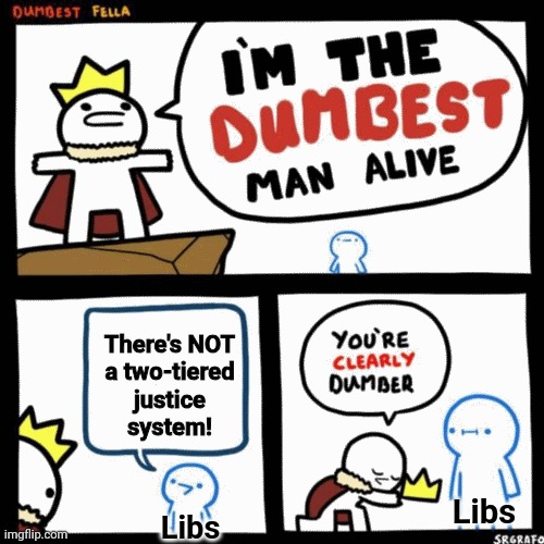 I'm the dumbest man alive | There's NOT
a two-tiered
justice
system! Libs Libs | image tagged in i'm the dumbest man alive | made w/ Imgflip meme maker