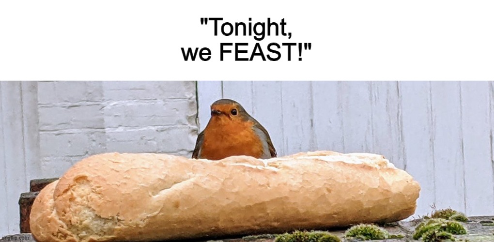 This bird seems ready to gain an extra 5 pounds of weight 0-0 | "Tonight, we FEAST!" | made w/ Imgflip meme maker