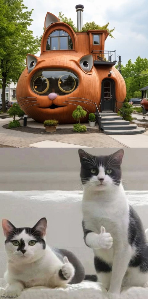 A REAL CAT HOUSE | image tagged in thumbs up cats,cats | made w/ Imgflip meme maker