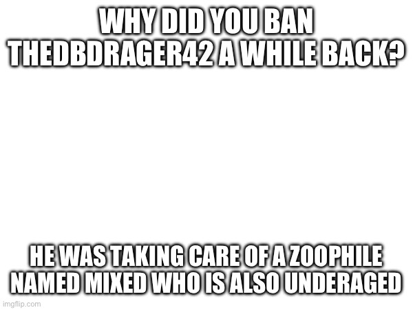 Why? | WHY DID YOU BAN THEDBDRAGER42 A WHILE BACK? HE WAS TAKING CARE OF A ZOOPHILE NAMED MIXED WHO IS ALSO UNDERAGED | image tagged in why | made w/ Imgflip meme maker