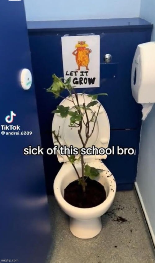 let it grow let it grow | image tagged in meme,offensive meme,lorax | made w/ Imgflip meme maker