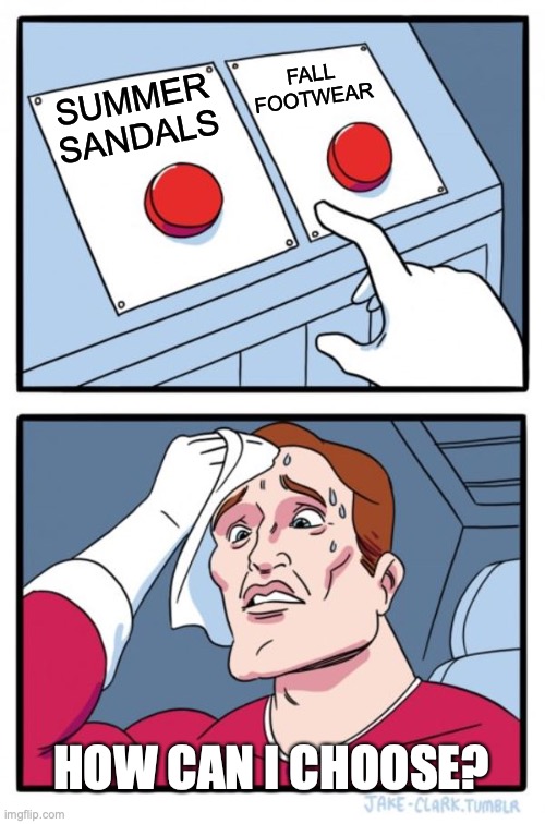 Summer Shoes VS Fall Footwear | FALL FOOTWEAR; SUMMER SANDALS; HOW CAN I CHOOSE? | image tagged in memes,two buttons | made w/ Imgflip meme maker