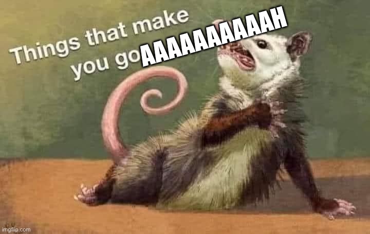 Things that make you go aaaaaaahhh | AAAAAAAAAAH | image tagged in things that make you go aaaaaaahhh | made w/ Imgflip meme maker