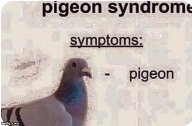 real | image tagged in meme,pigeon,real | made w/ Imgflip meme maker