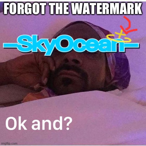ok, and? | FORGOT THE WATERMARK | image tagged in ok and | made w/ Imgflip meme maker
