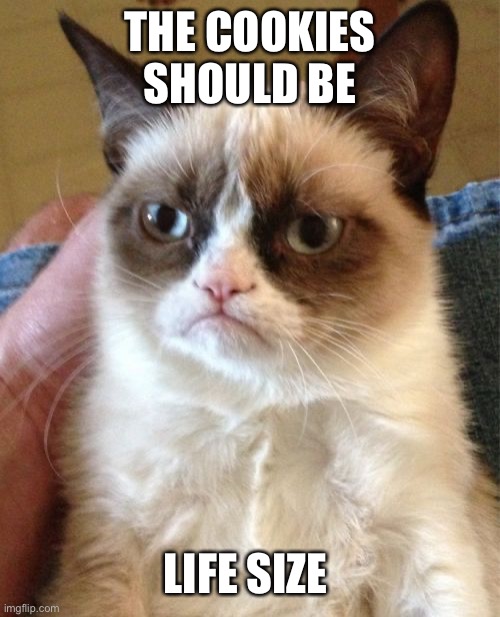 Grumpy Cat Meme | THE COOKIES SHOULD BE LIFE SIZE | image tagged in memes,grumpy cat | made w/ Imgflip meme maker
