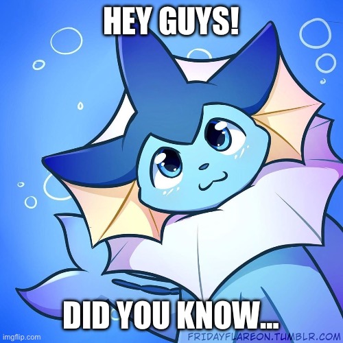 tomfoolery | HEY GUYS! DID YOU KNOW… | image tagged in vaporeon | made w/ Imgflip meme maker