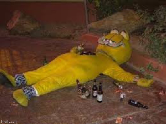 Passed out Garfield | image tagged in passed out garfield | made w/ Imgflip meme maker