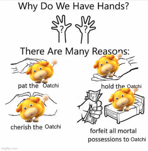Oatchi | Oatchi; Oatchi; Oatchi; Oatchi | image tagged in why do we have hands all blank | made w/ Imgflip meme maker