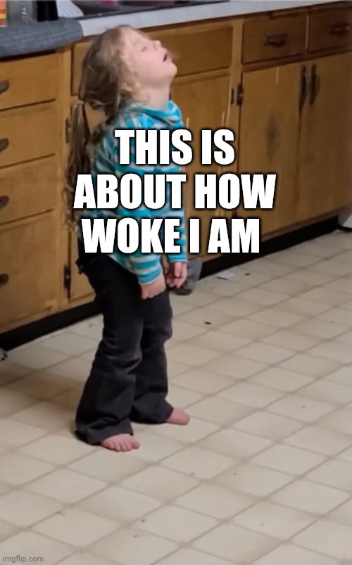 Not woke. | THIS IS ABOUT HOW WOKE I AM | image tagged in woke | made w/ Imgflip meme maker