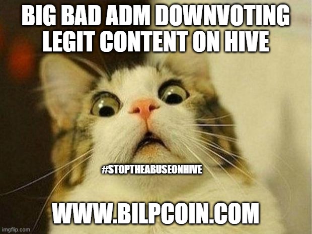Scared Cat Meme | BIG BAD ADM DOWNVOTING LEGIT CONTENT ON HIVE; #STOPTHEABUSEONHIVE; WWW.BILPCOIN.COM | image tagged in memes,scared cat | made w/ Imgflip meme maker