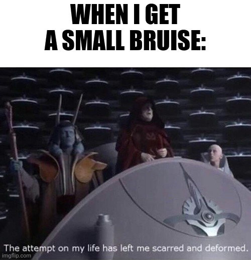 Just a small bruise | WHEN I GET A SMALL BRUISE: | image tagged in palpatine the attempt on my life | made w/ Imgflip meme maker