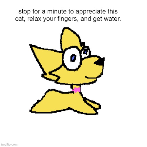 its a cat | stop for a minute to appreciate this cat, relax your fingers, and get water. | image tagged in memes,blank transparent square | made w/ Imgflip meme maker