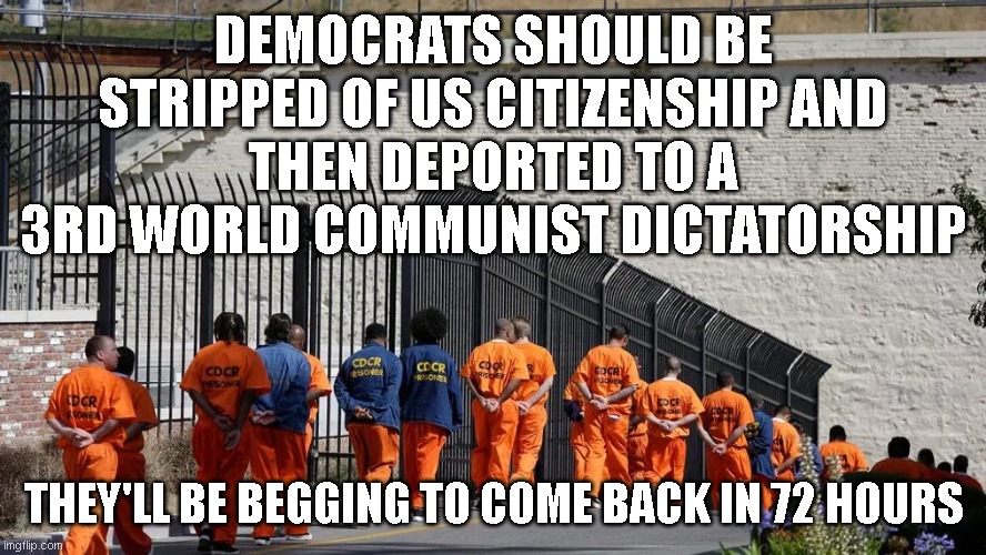 DEMOCRATS SHOULD BE STRIPPED OF US CITIZENSHIP AND
THEN DEPORTED TO A 3RD WORLD COMMUNIST DICTATORSHIP; THEY'LL BE BEGGING TO COME BACK IN 72 HOURS | made w/ Imgflip meme maker