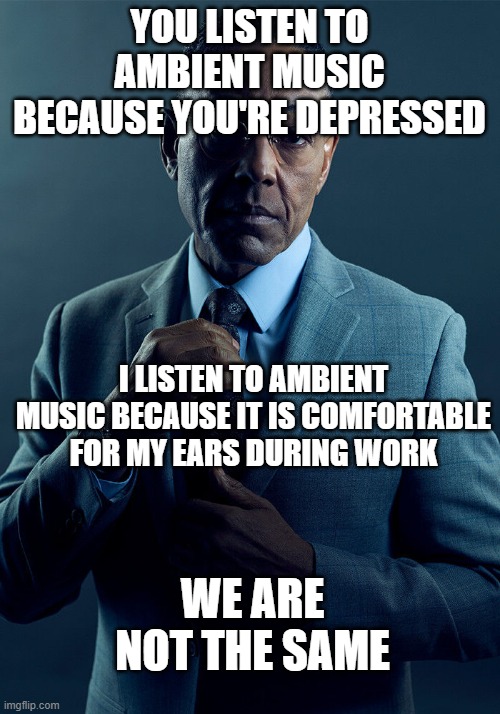 Music | YOU LISTEN TO AMBIENT MUSIC BECAUSE YOU'RE DEPRESSED; I LISTEN TO AMBIENT MUSIC BECAUSE IT IS COMFORTABLE FOR MY EARS DURING WORK; WE ARE NOT THE SAME | image tagged in gus fring we are not the same | made w/ Imgflip meme maker