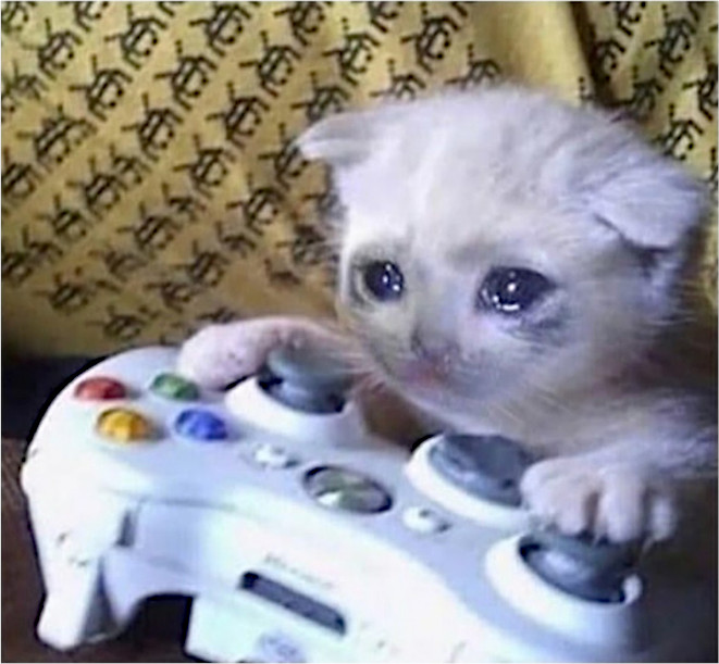 sad cat playing Blank Meme Template