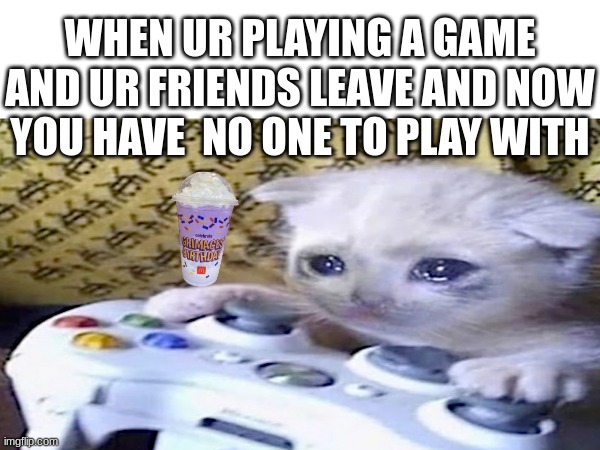 the saddest part when ur playing online | WHEN UR PLAYING A GAME AND UR FRIENDS LEAVE AND NOW YOU HAVE  NO ONE TO PLAY WITH | image tagged in sad cat,gaming | made w/ Imgflip meme maker