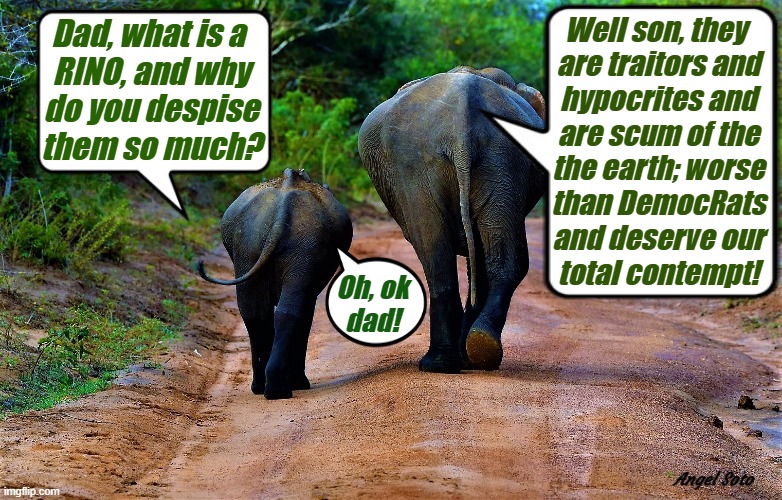 elephant dad warns son about rinos | Well son, they 
are traitors and
hypocrites and
are scum of the
the earth; worse
than DemocRats
and deserve our
total contempt! Dad, what is a 
RINO, and why
do you despise
them so much? Oh, ok
dad! Angel Soto | image tagged in rino,hypocrites,traitors,scum  of the earth,elephant,democrats | made w/ Imgflip meme maker