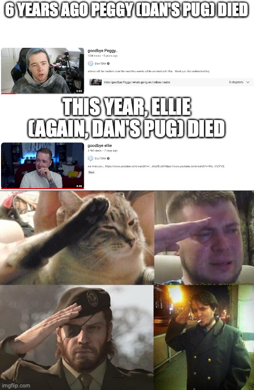 6 YEARS AGO PEGGY (DAN'S PUG) DIED; THIS YEAR, ELLIE (AGAIN, DAN'S PUG) DIED | image tagged in ozon's salute | made w/ Imgflip meme maker